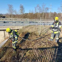 80c56232-de26-4519-ba8f-eeb9c6fe3845.jpeg