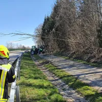 e4405425-0bbb-4b8f-8bc1-d546990ecb61.jpeg